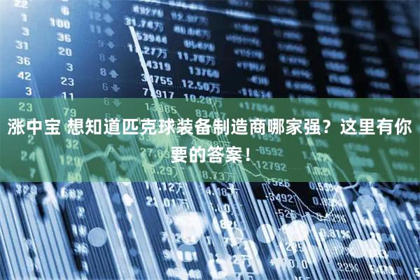 涨中宝 想知道匹克球装备制造商哪家强？这里有你要的答案！